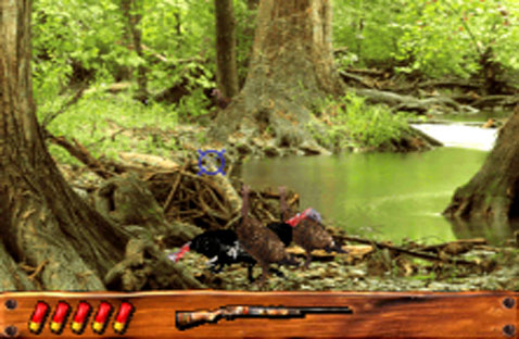 Turkey Hunting - Click Image to Close